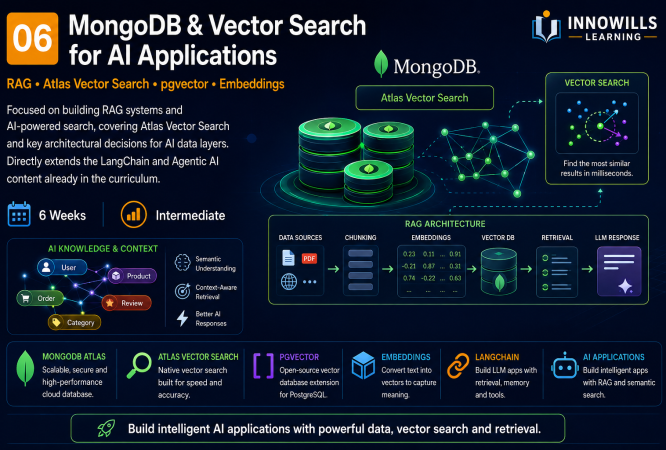 Mongo DB & Vector Search
